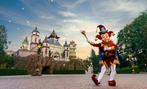 Kaartjes voor Efteling x4 zaterdag 17 januari, Drie personen of meer, Ticket of Toegangskaart