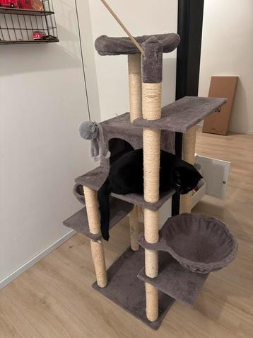 Katten krabpaal beschikbaar voor biedingen