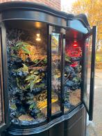Xxl terrarium, Dieren en Toebehoren, Reptielen en Amfibieën | Toebehoren, Ophalen, Zo goed als nieuw