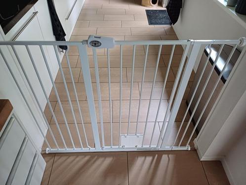 Traphek/hondenhek met kattenluik Bettacare, Dieren en Toebehoren, Overige Dieren-accessoires, Zo goed als nieuw, Ophalen