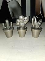 Leuke riviera maison cactussen, Ophalen of Verzenden