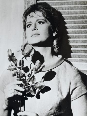 Nancy Malone - The Long Hot Summer Foto beschikbaar voor biedingen