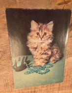 Leuke pluizige poes, Verzenden, Ongelopen, Hond of Kat