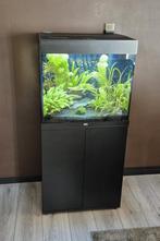 Juwel aquarium zie foto's, Dieren en Toebehoren, Vissen | Aquaria en Toebehoren, Ophalen, Zo goed als nieuw, Verlichting of Verwarming