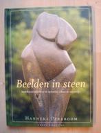 Hanneke Pereboom - Beelden in steen, Ophalen of Verzenden, Zo goed als nieuw, Overige onderwerpen