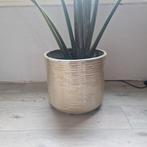 Gouden bloempot, Tuin en Terras, Bloempotten, Ophalen, Rond, Minder dan 25 cm