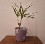 Paarse lila bloempot met witte bloemetjes, Rond, Ophalen of Verzenden, Zo goed als nieuw, Aardewerk