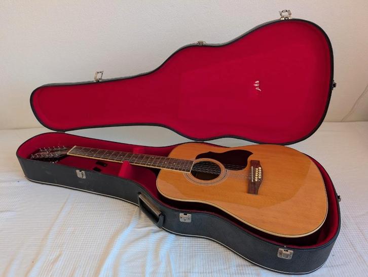 Richwood 12 snarige akoustische gitaar. Koffer optioneel, Muziek en Instrumenten, Snaarinstrumenten | Gitaren | Akoestisch, Gebruikt