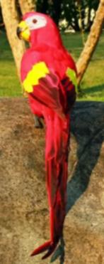 Prachtige kunst papegaai van schuim en veren rood (45cm), Ophalen of Verzenden, Nieuw, Overige materialen, Dierenbeeld