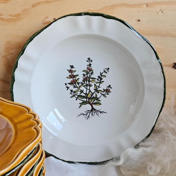 Pagnossin Treviso botanical diepe borden | per st, Huis en Inrichting, Keuken | Servies, Zo goed als nieuw, Bord(en), Overige stijlen