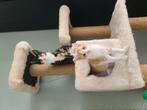 2 kittens, a cat tree, a bag, 2 litter boxes and some toys, Ophalen of Verzenden, Zo goed als nieuw
