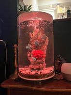 Biorb Tube aquarium 30 liter, Dieren en Toebehoren, Vissen | Aquaria en Toebehoren, Ophalen, Zo goed als nieuw, Gevuld zoetwateraquarium