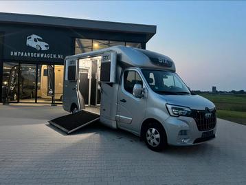 Renault STX Paardenwagen >>dubbele cabine<< 32.792 km! beschikbaar voor biedingen