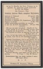 Pastoor A. Raijmakers 1856 Helmond + 1918 Berkel-Enschot, Verzamelen, Verzenden, Bidprentje