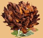 CHRYSANT - KUNST, Ophalen of Verzenden, Nieuw