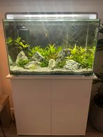 Aquarium Superfish aquahome 110l wit, Dieren en Toebehoren, Vissen | Aquaria en Toebehoren, Ophalen, Gebruikt, Gevuld zoetwateraquarium