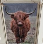 Sfeervol Canvas Schotse Hooglander met Verlichting 40x60, Ophalen of Verzenden, Nieuw, Print, Minder dan 50 cm