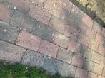Abbeystones zomerbont gezocht, Tuin en Terras, Tegels en Klinkers, Ophalen, Overige typen, Zo goed als nieuw, Minder dan 5 m²
