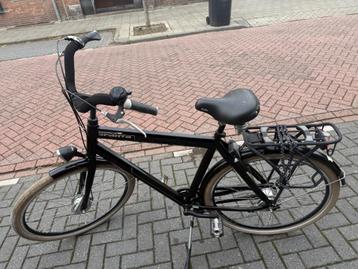 sparta leopard  vII beschikbaar voor biedingen