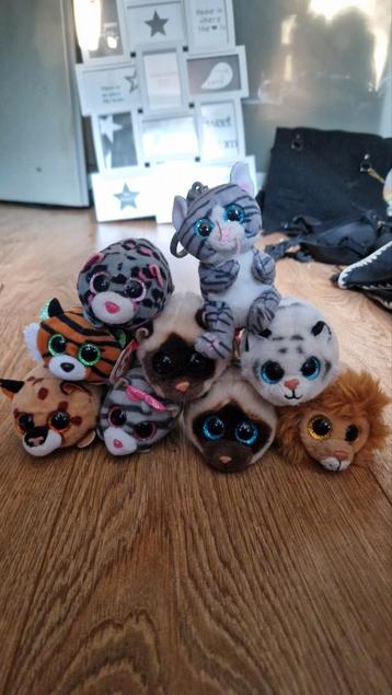 Ty Beany boo beschikbaar voor biedingen