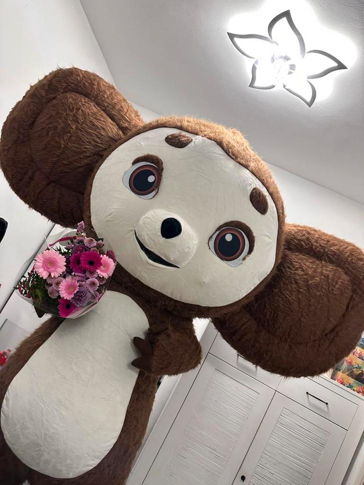 Mascotte huren Den Haag - Feest of Verjaardag, Kinderen en Baby's, Carnavalskleding en Verkleedspullen, Zo goed als nieuw, Jongen of Meisje