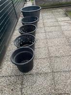 Bakken voor vijverplanten, Tuin en Terras, Ophalen, Gebruikt