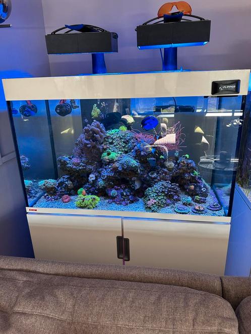 Eheim zeeaqurium ( zonder inhoud ) 250 liter., Dieren en Toebehoren, Vissen | Aquaria en Toebehoren, Gebruikt, Leeg aquarium, Ophalen