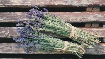 Lavendel gedroogd - Droogbloemen - per bos beschikbaar voor biedingen
