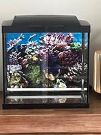Aquarium Nog goed in staat, Dieren en Toebehoren, Vissen | Aquaria en Toebehoren, Ophalen, Gebruikt, Sierelement