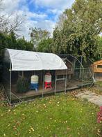 Kippenren, grote buitenren, Dieren en Toebehoren, Pluimvee | Toebehoren, Ophalen, Zo goed als nieuw, Kippenhok of Kippenren