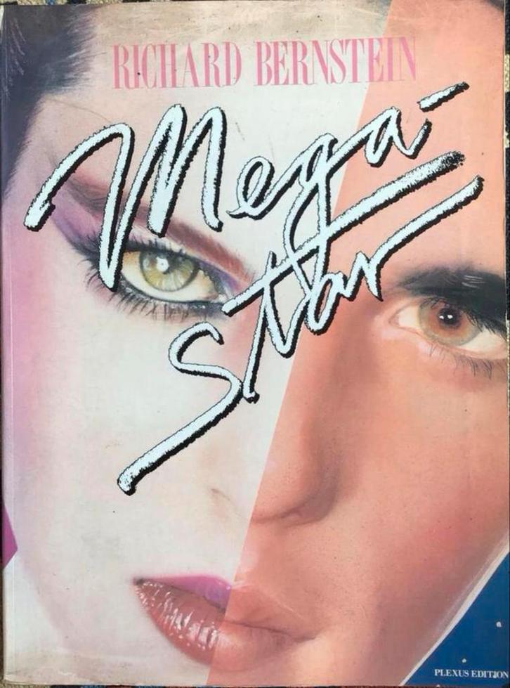 Richard Bernstein - Mega Star - Pop Art, Boeken, Kunst en Cultuur | Fotografie en Design, Gelezen, Fotografie algemeen, Ophalen of Verzenden