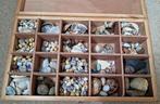 3 houten verzamelkistjes vol met gevonden schelpen en stenen, Verzamelen, Mineralen en Fossielen, Ophalen, Schelp(en)