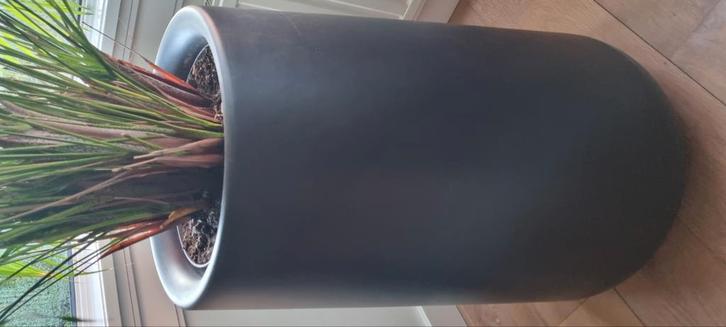 antraciet/zwarte grote cilindervormige plantenbak/, Tuin en Terras, Bloembakken en Plantenbakken, Zo goed als nieuw, Kunststof