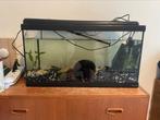 Aquarium 60x30x32 cm ongeveer 50 liter, Dieren en Toebehoren, Vissen | Aquaria en Toebehoren, Ophalen, Gebruikt, Leeg aquarium