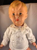 Pop Wildebras, Gebruikt, Ophalen of Verzenden, Wildebras, Pop