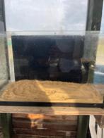 Aquarium, Dieren en Toebehoren, Ophalen, Leeg aquarium