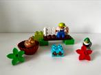 Duplo Bos Eenden 10581, Ophalen of Verzenden, Zo goed als nieuw, Duplo