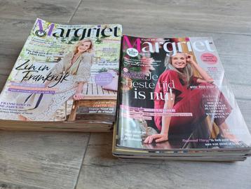 24x Margriet  beschikbaar voor biedingen