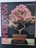 Kamerbonsai, Ophalen of Verzenden, Chye Hock Tan, Kamerplanten