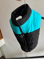 Hondenbodywarmer, Ophalen, Nieuw, Hondenbodywarmer
