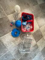 Hamsterkooi met van alles erbij, Minder dan 60 cm, Kooi, Minder dan 75 cm, Ophalen of Verzenden