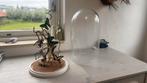 Opgezette vlinders dieren taxidermie stolp vogels, Ophalen of Verzenden, Zo goed als nieuw, Insect, Opgezet dier