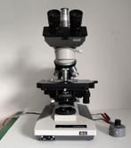 Olympus BH2 trinoculaire microscoop, Ophalen, Gebruikt, 400x tot 1000x, Biologische microscoop