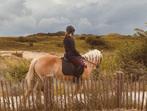 verzorger aangeboden / verzorgpony gezocht, Ophalen of Verzenden, Nieuw