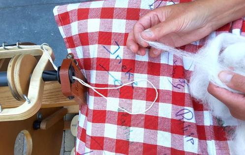 Leer Zelf Wol Sorteren, Wassen, Kaarden én Spinnen!, Hobby en Vrije tijd, Spinnewielen en Spinnen, Nieuw, Spinwol, Verzenden