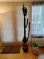 Cactus 170 cm, Huis en Inrichting, Kamerplanten, Cactus, 150 tot 200 cm, Volle zon, Ophalen