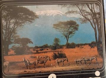 Safari - Robert Ruark beschikbaar voor biedingen