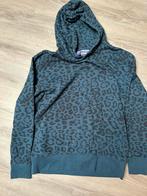 Hoody Raizzed mt 176 zgan, Jongen of Meisje, Trui of Vest, Ophalen of Verzenden, Zo goed als nieuw
