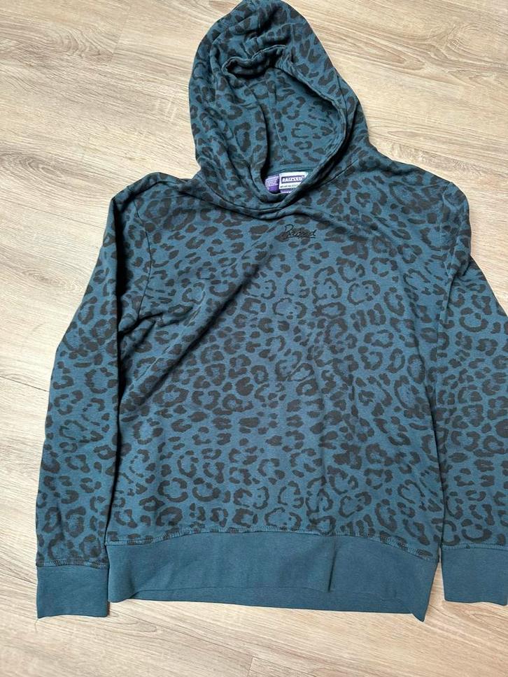 Hoody Raizzed mt 176 zgan, Kinderen en Baby's, Kinderkleding | Maat 176, Zo goed als nieuw, Jongen of Meisje, Trui of Vest, Ophalen of Verzenden