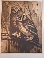 Ets van Uilen door A. Boer, Antiek en Kunst, Ophalen of Verzenden